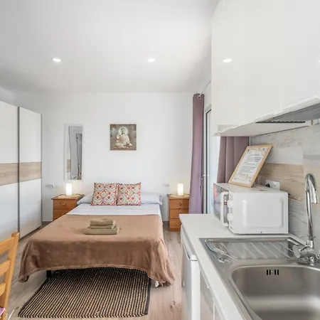 Centrico Atico Con Terraza Privada 公寓 *
